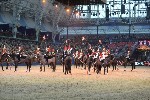 Cavalry - 00265